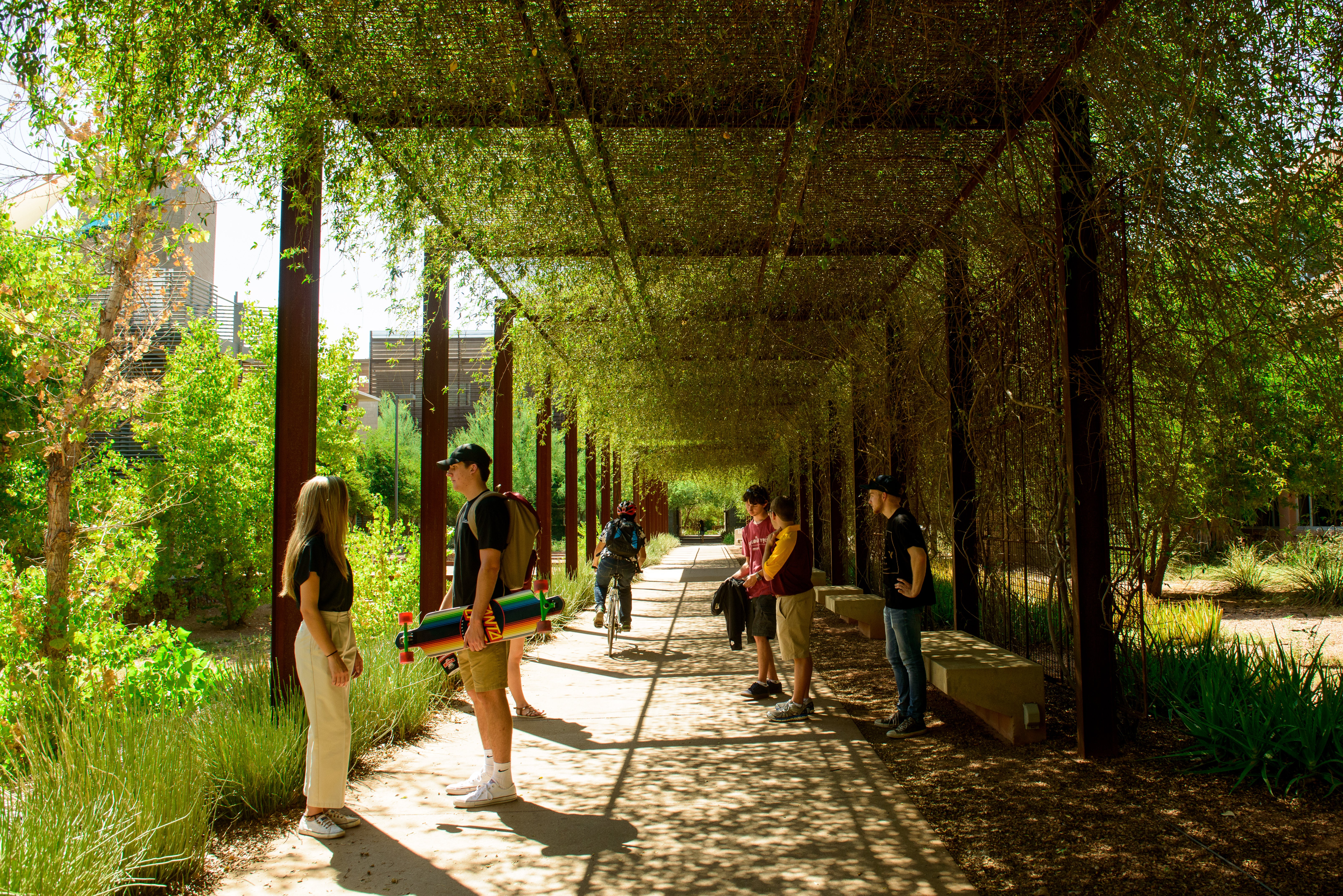 Two pairs of students speak to one another under lush foliage as a cyclist moves down a path.