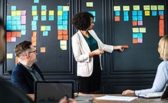 Entrepreneurship Law and Strategy
