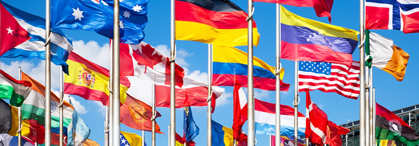 View of multiple international flags on polls 