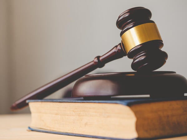 Gavel resting on top of a brown law book